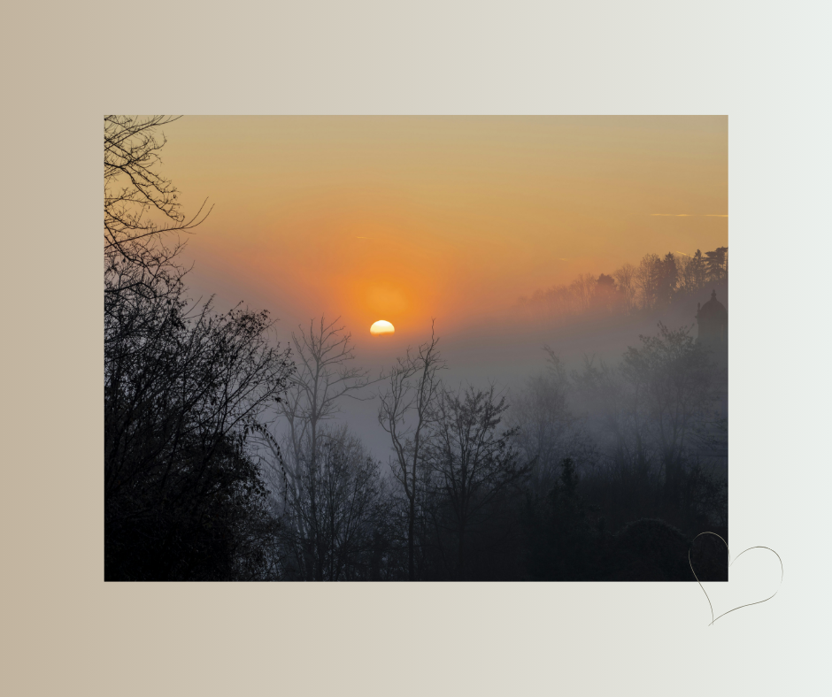 Sonnenaufgang an einem ruhigen Wintermorgen über kahlen Bäumen.