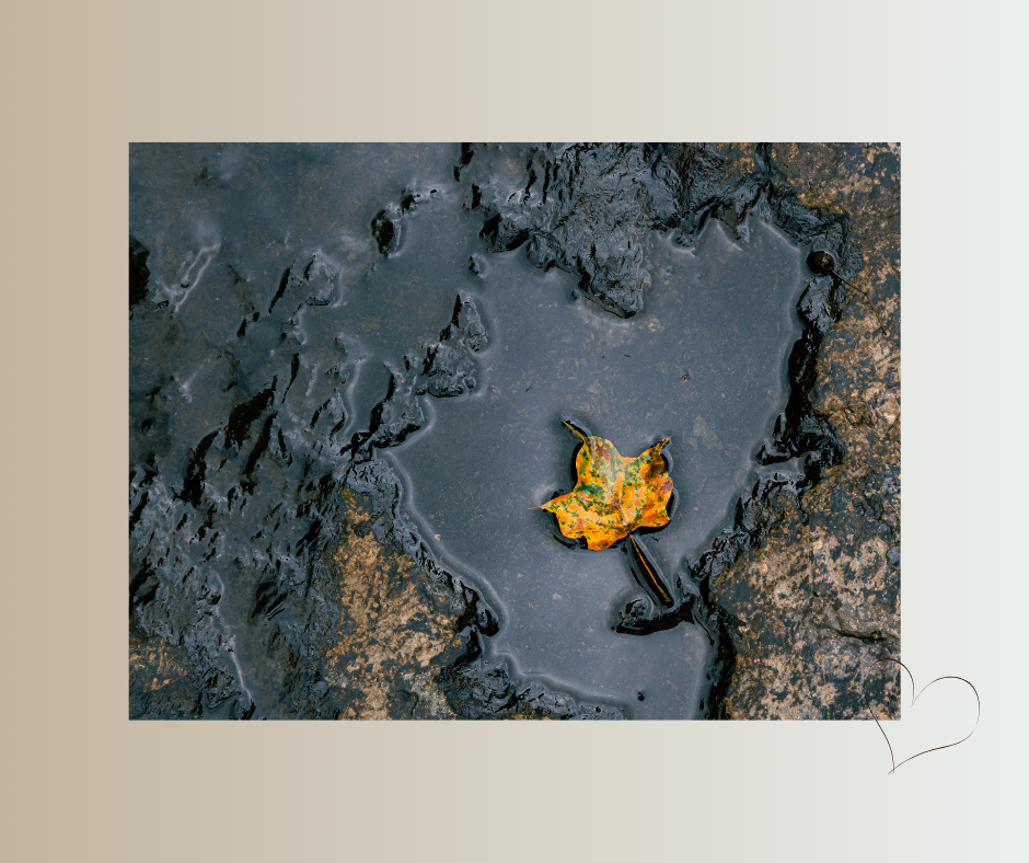 Herbstblatt schwimmt auf nassem Boden – Loslassen als natürlicher Prozess